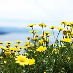 Mit Wasserblick By Interhome Apartment *